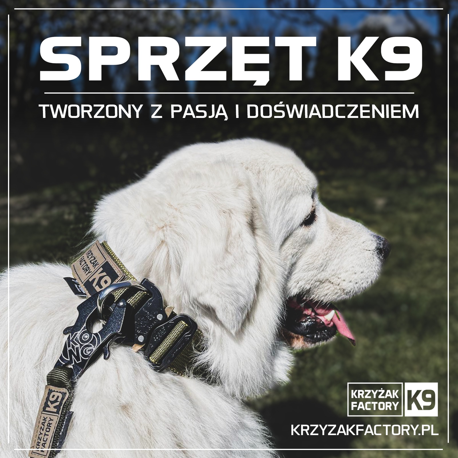 K9